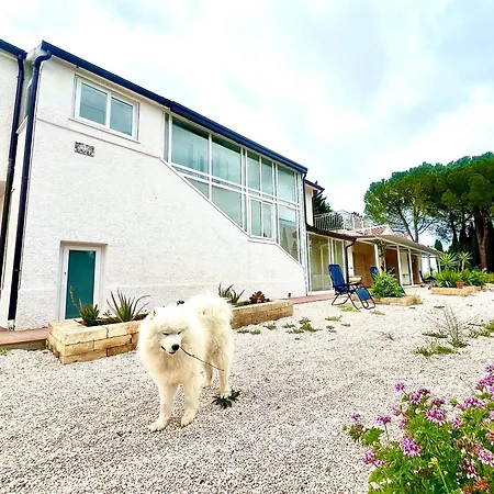 Bagnolo 23 Colli Dell Infinito * Bagnolo (Marche)